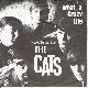 Afbeelding bij: Cats  the - Cats  the-What a crazy life / Hopeless try